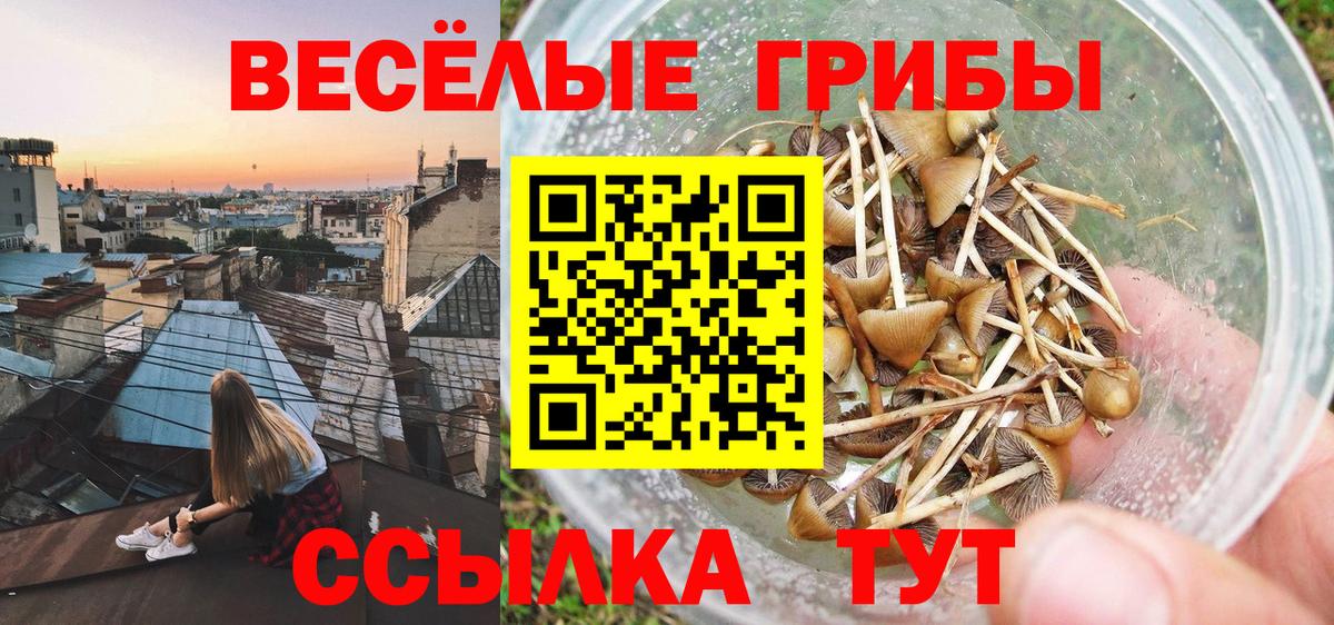 Псилоцибиновые грибы прущие грибы Джанкой